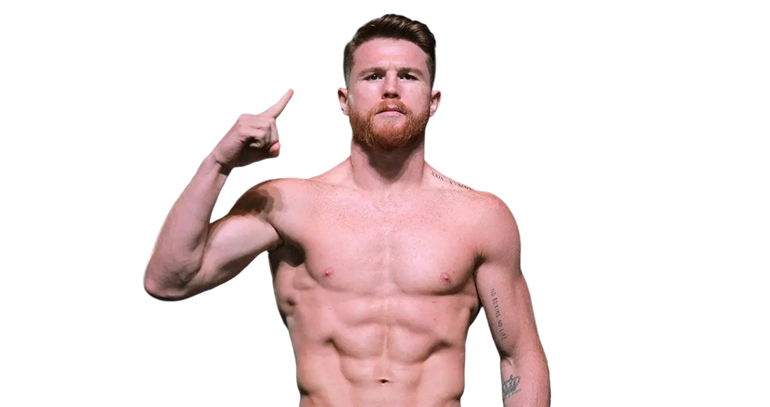 Canelo Álvarez: Career Record, Losses and Every Fight Listed