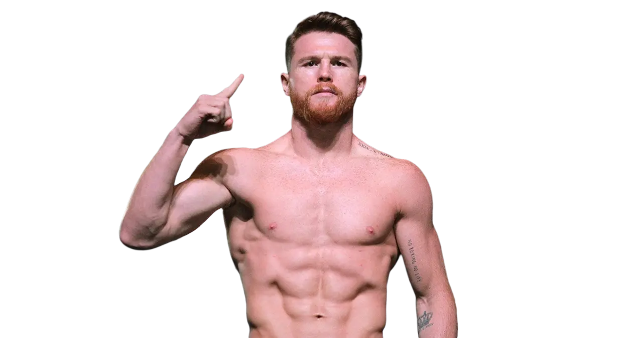 Canelo Álvarez: Career Record, Losses and Every Fight Listed