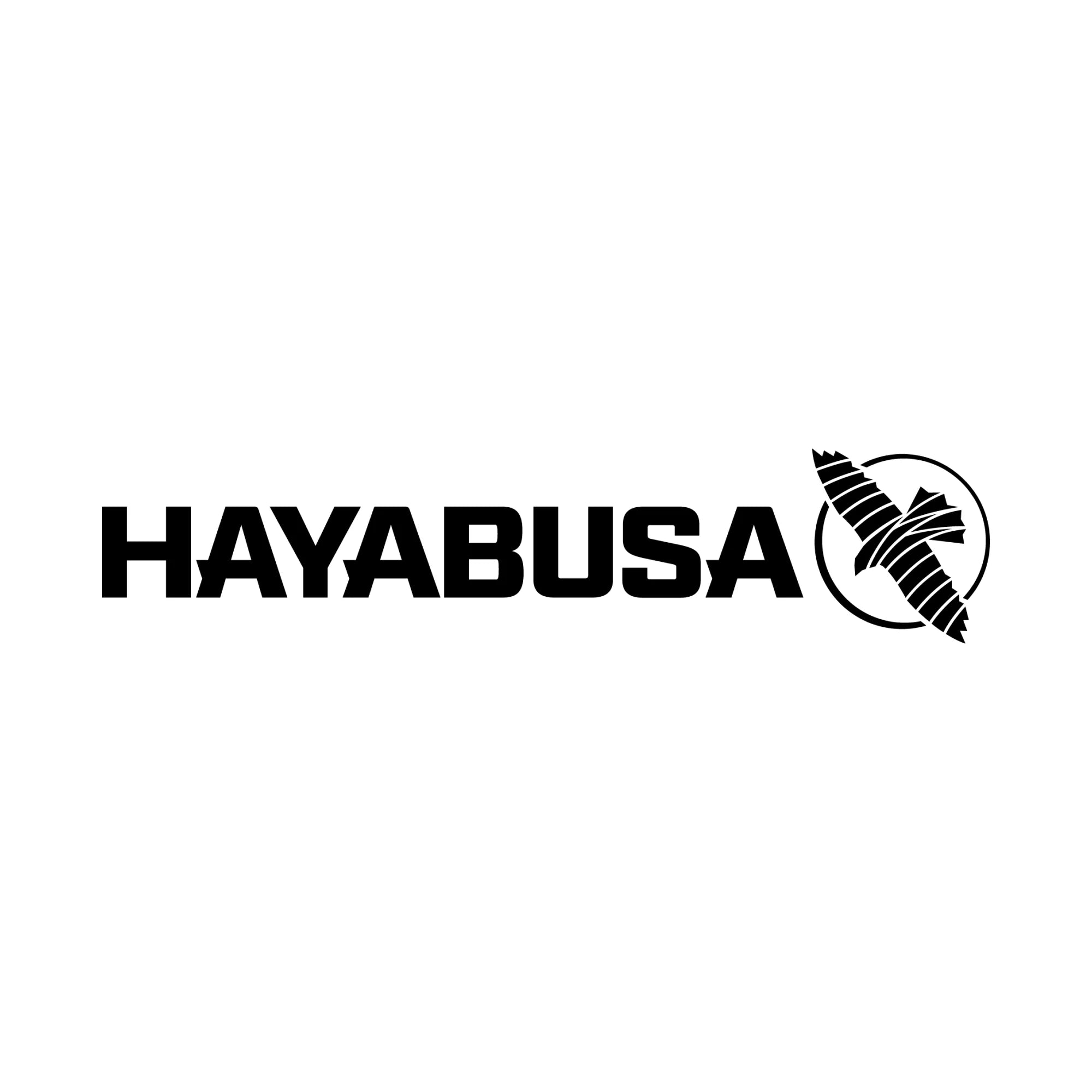 Hayabusa