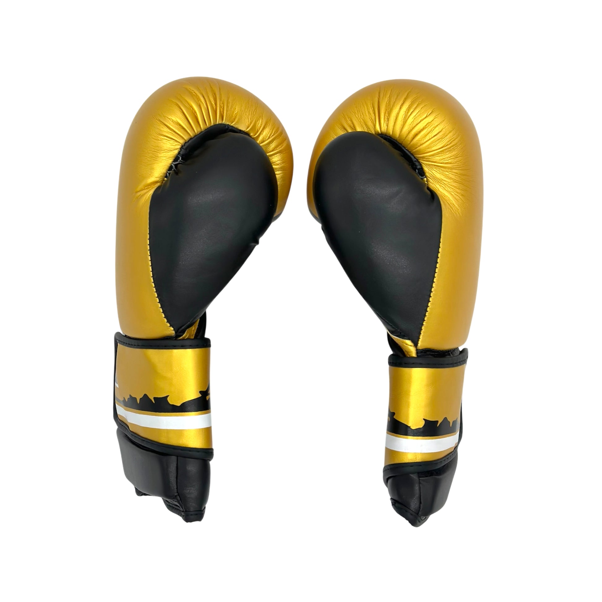 Guantes de boxeo ADX Furious