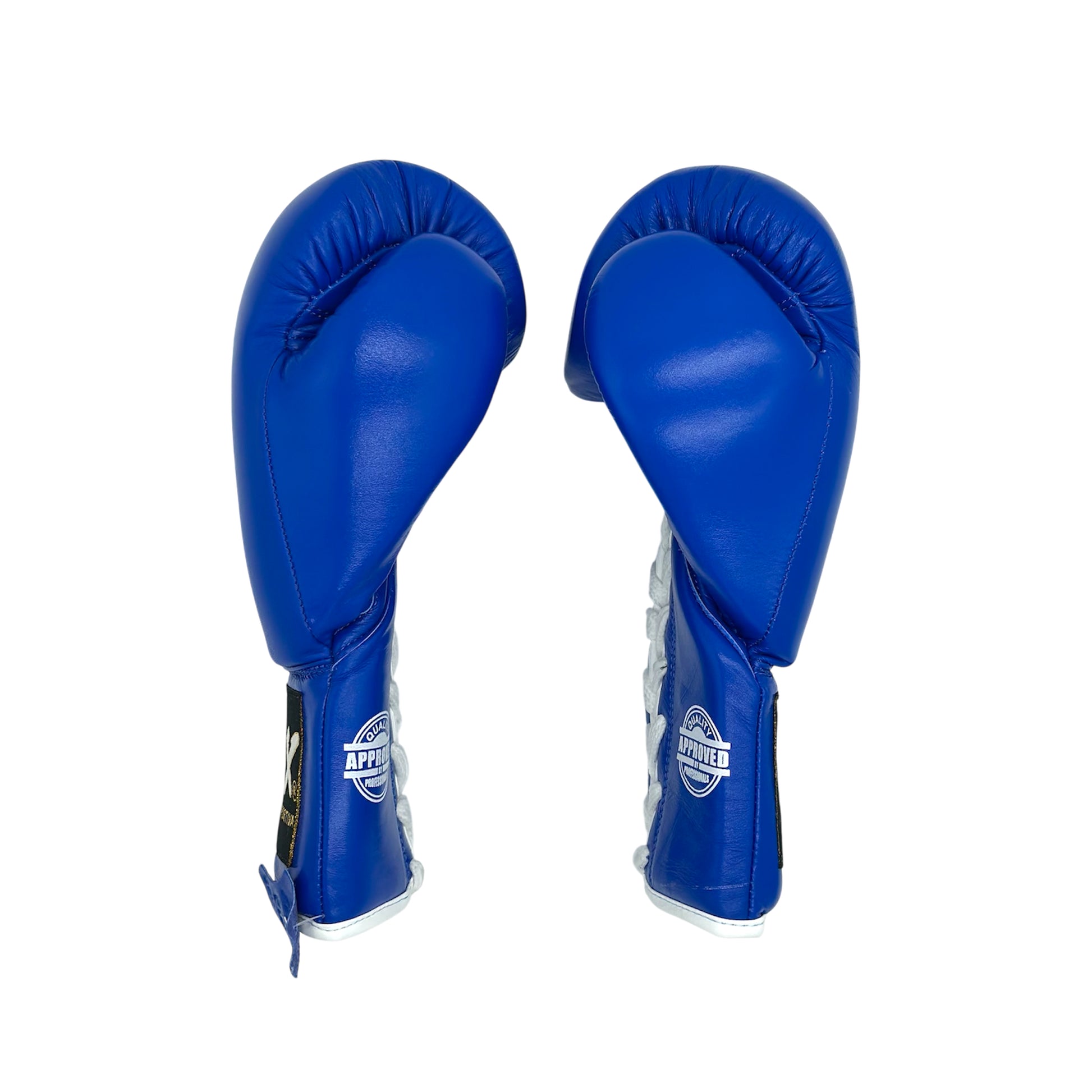 ADX Professional Boxing Gloves