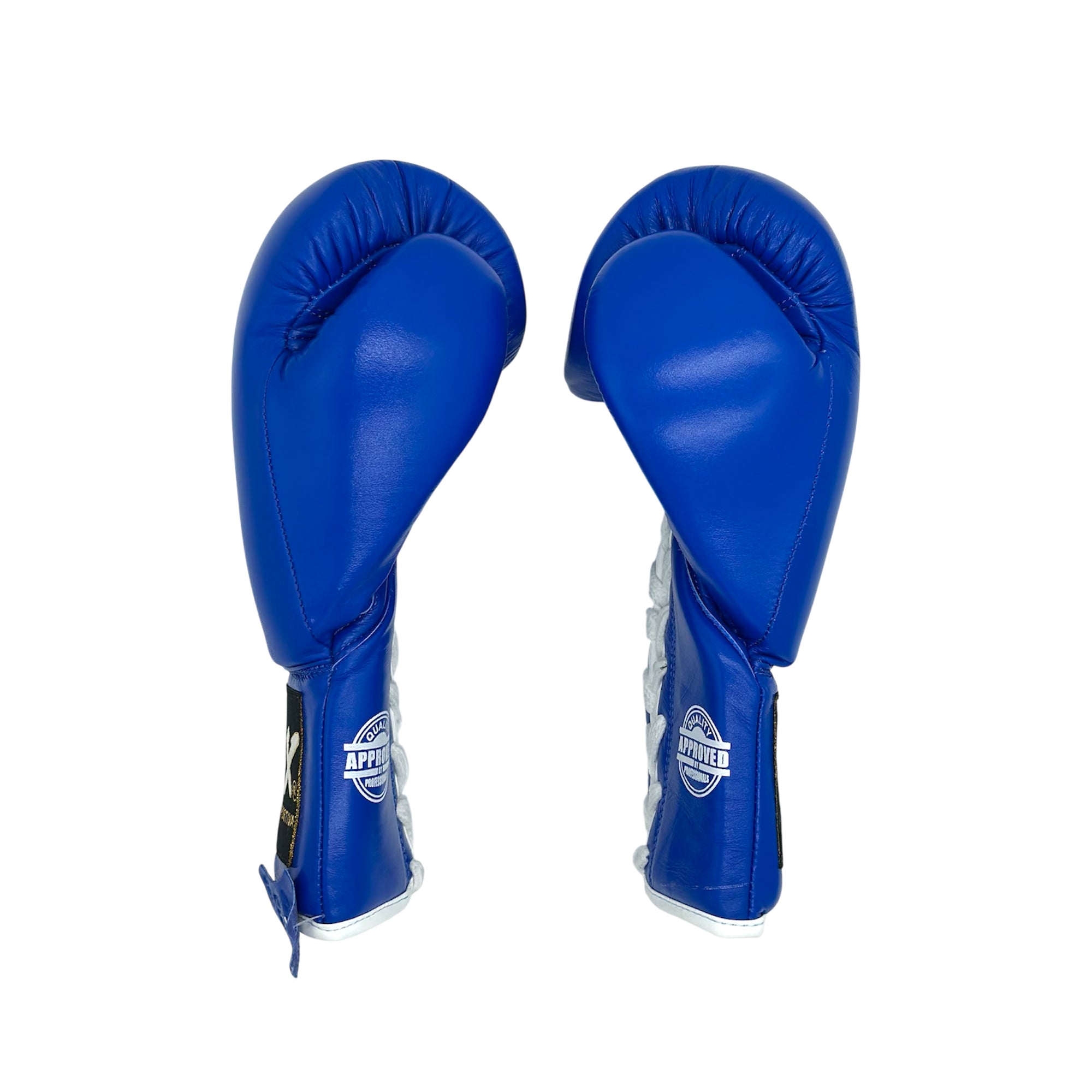ADX Professional Boxing Gloves