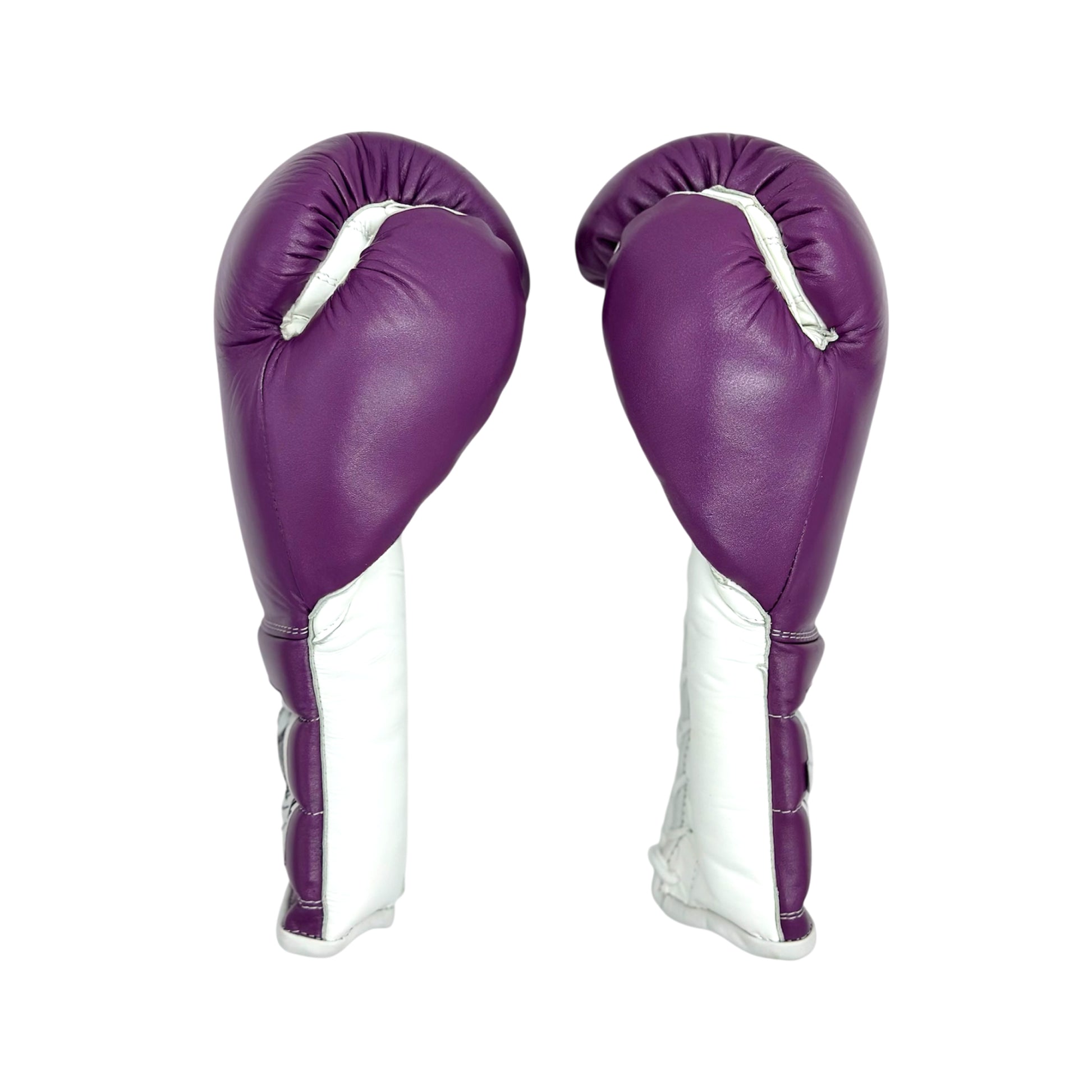 Casanova Premium Boxing Gloves