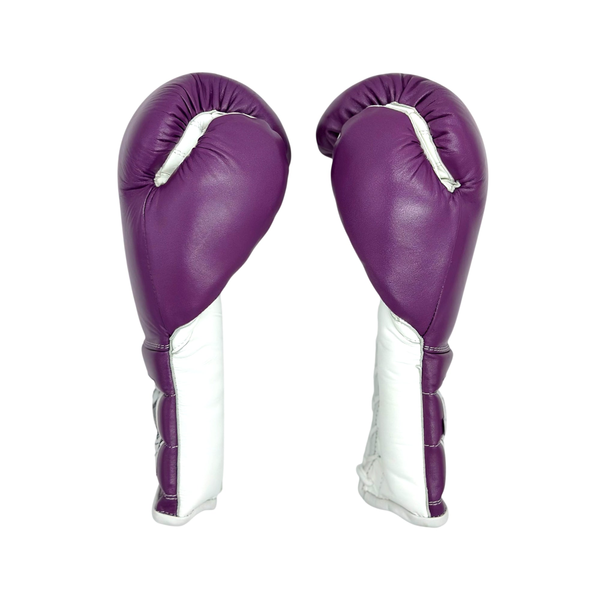 Casanova Premium Boxing Gloves