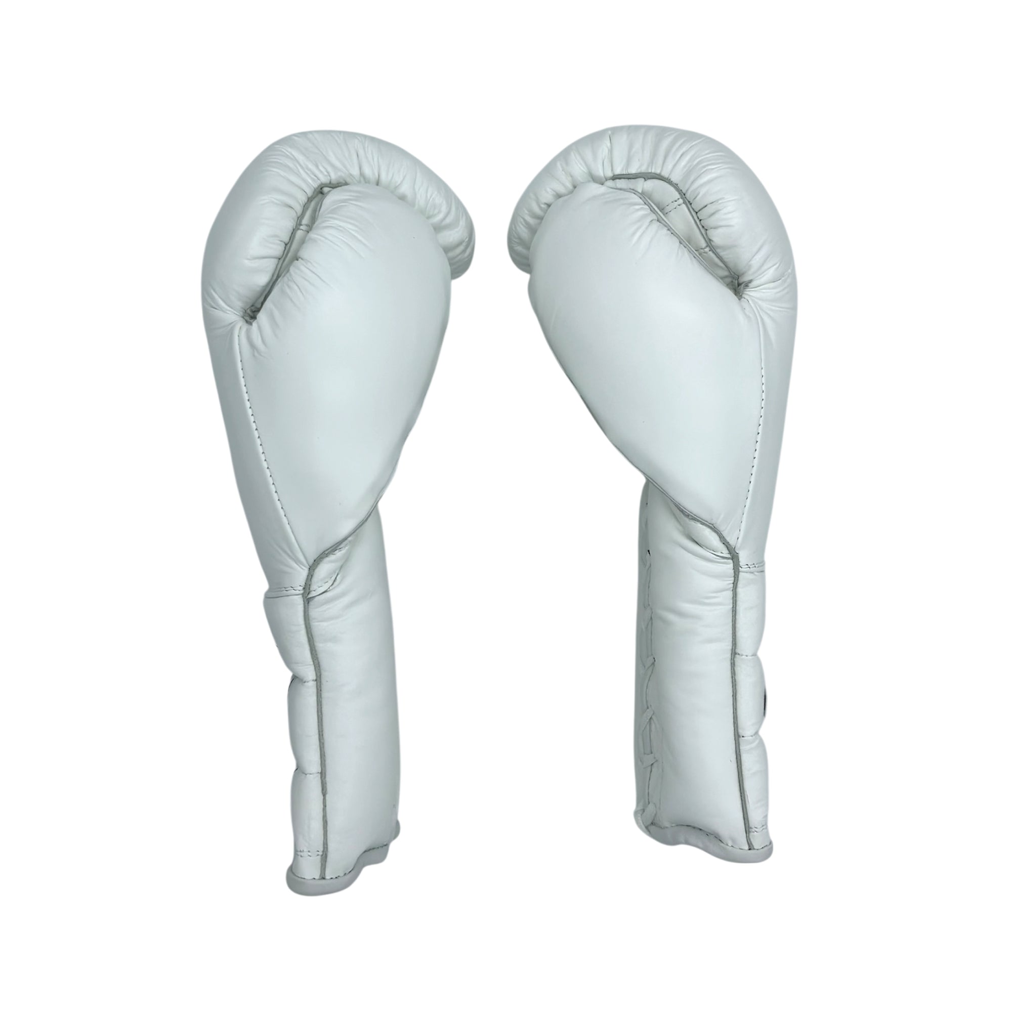 Casanova Premium Boxing Gloves