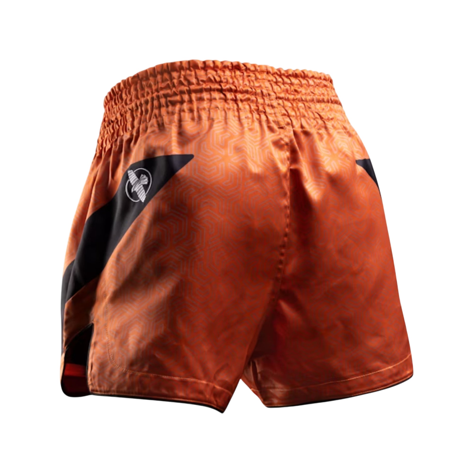 Hayabusa Core Muay Thai Shorts