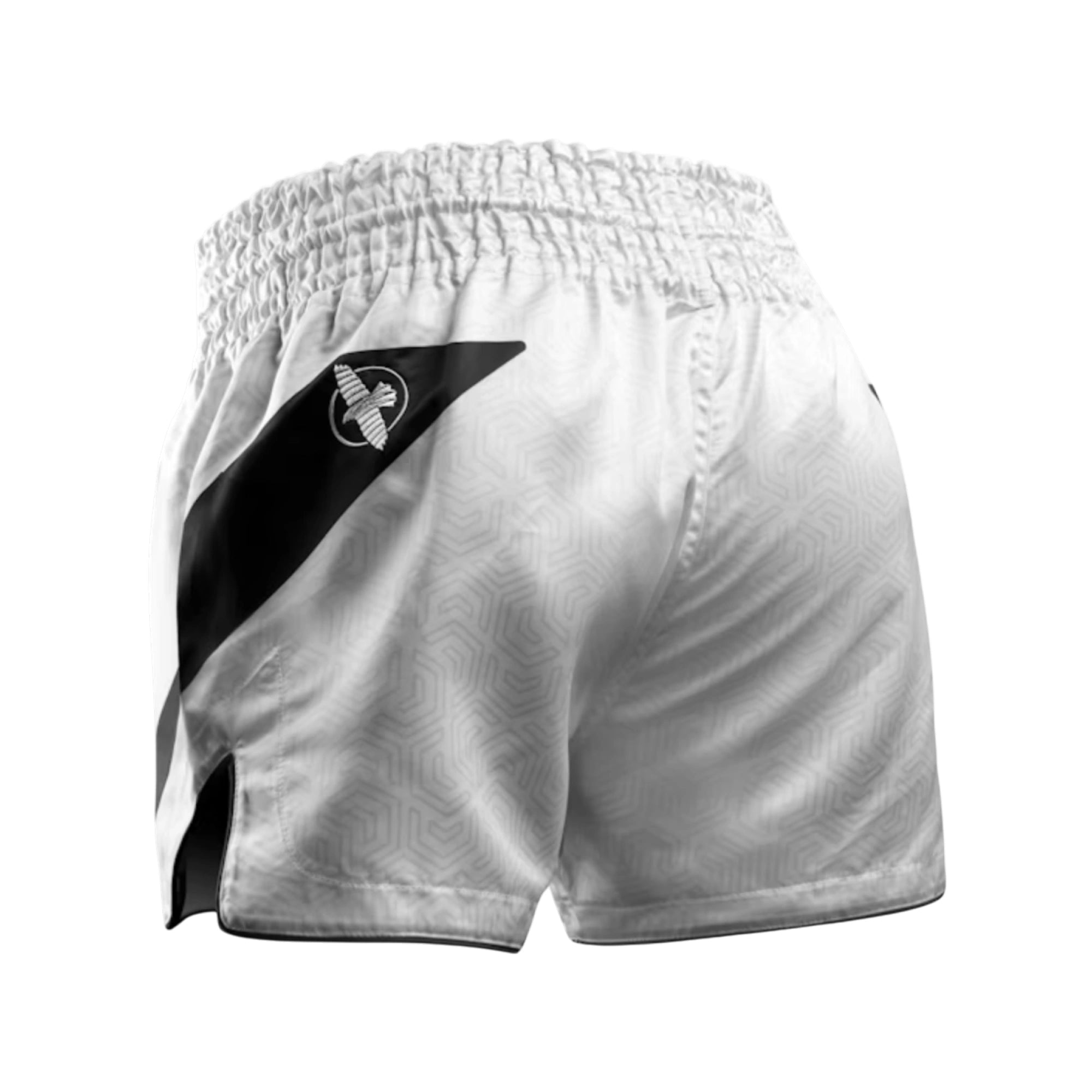 Hayabusa Core Muay Thai Shorts